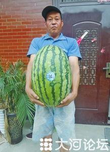 吃瓜网每日大赛 反差大赛51,反差萌十足！吃瓜网每日大赛51反差大赛精彩瞬间大盘点